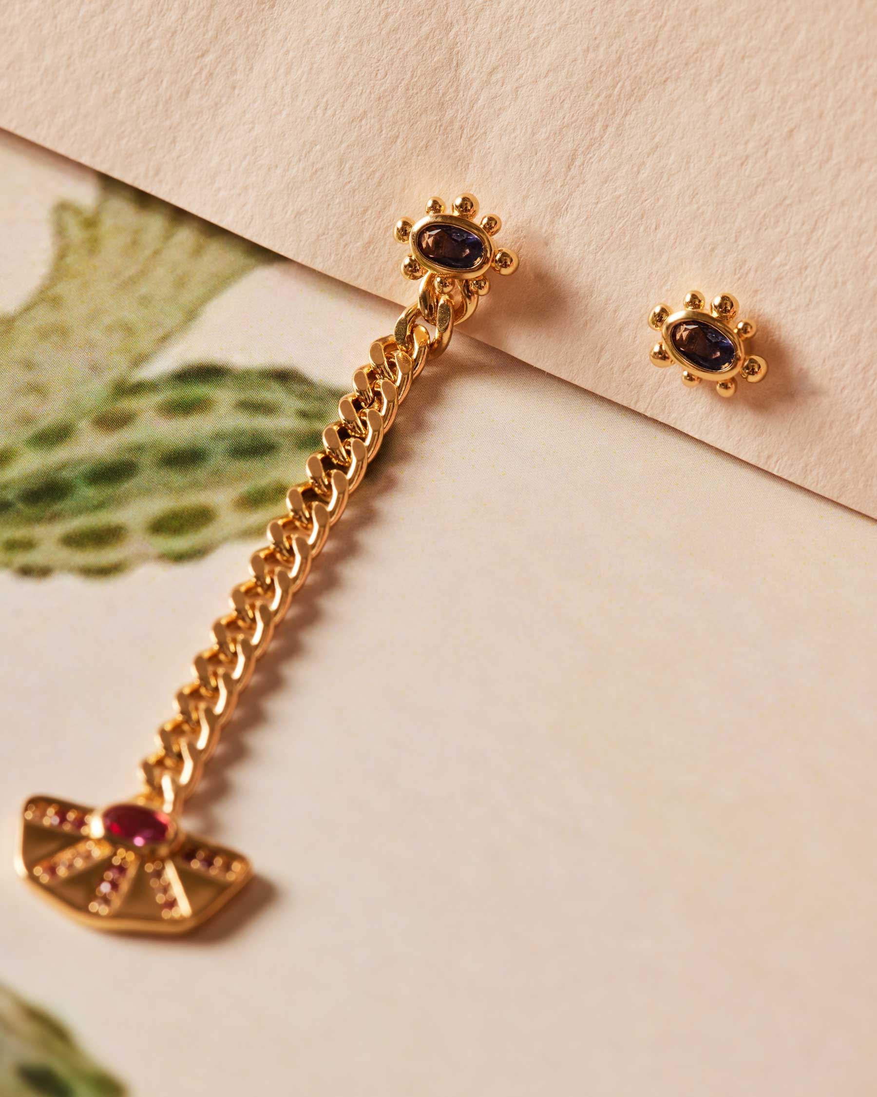 Joyas Apodemia